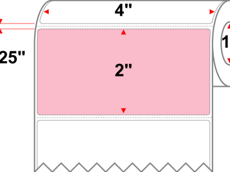 4 X 2 Premium Paper Thermal Transfer Label - Perforated - PMS 182 Pink 182 - 4  Roll - Permanent For Sale